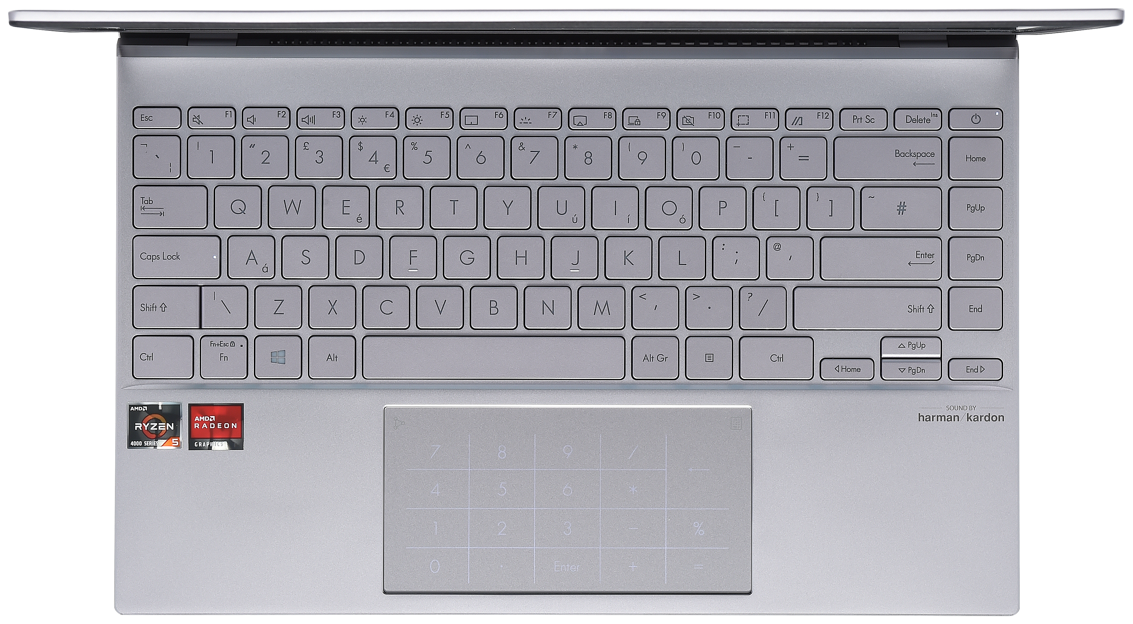 ASUS ZENBOOK 14 UM425 (512 GB)