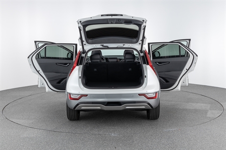 KIA NIRO EV (64,8 KWH)