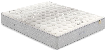 MOLAFLEX WBX BODY 25