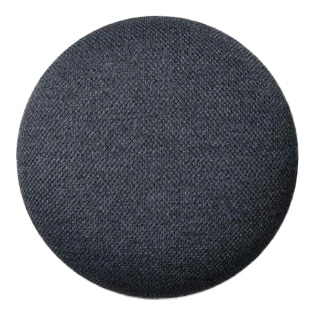GOOGLE NEST MINI